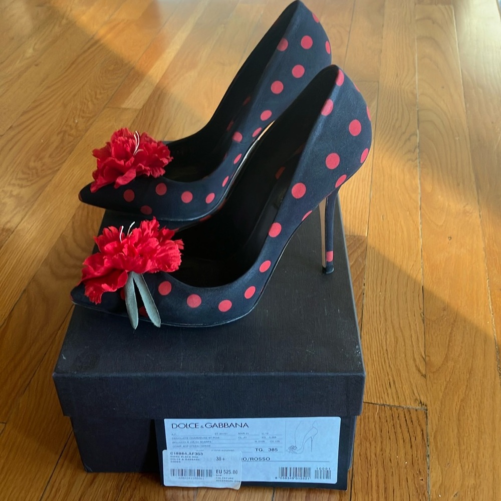 Dolce & Gabbana Black and Red Heels with Floral Design